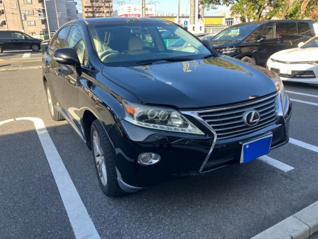 Photo of code 202533565643