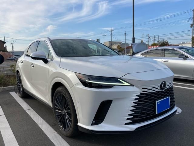 Photo of code 202534166273