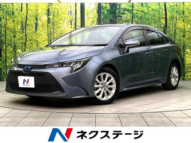 Photo of code 202534261365