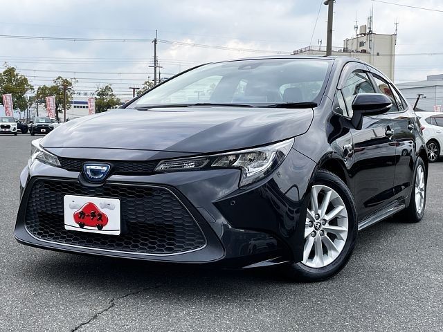 Photo of code 202534465412