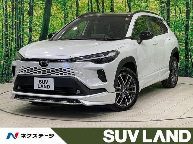 Photo of code 202534761004