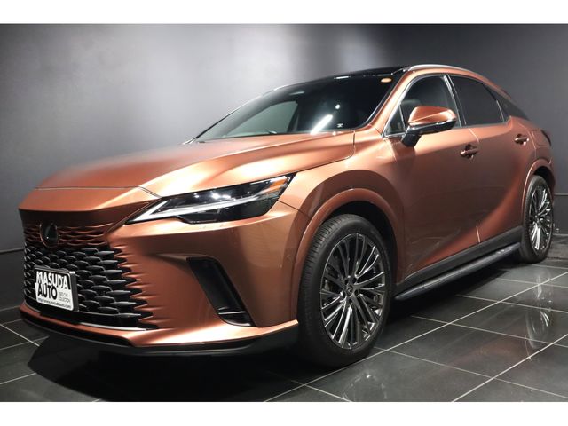 Photo of code 202534961733