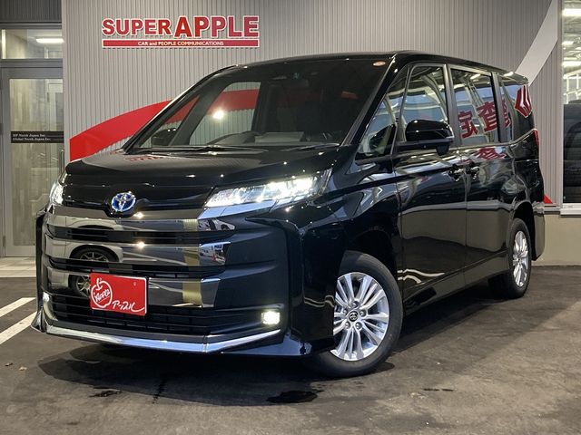 Photo of code 202535250199