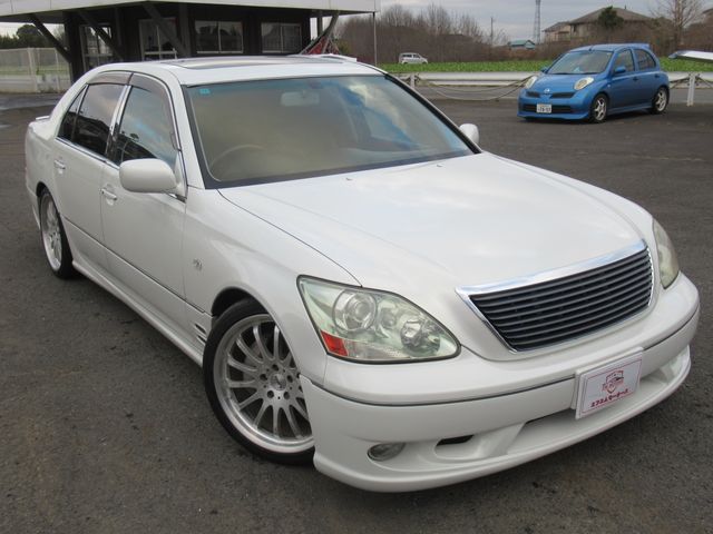 Photo of code 202535350239