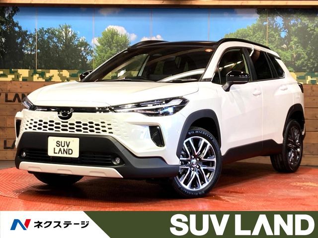 Photo of code 202535760940