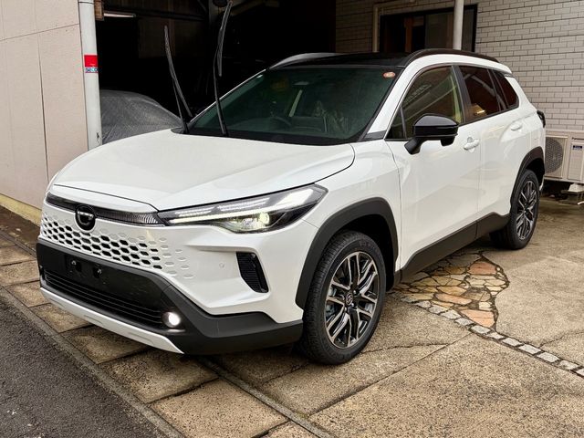 Photo of code 202535980021