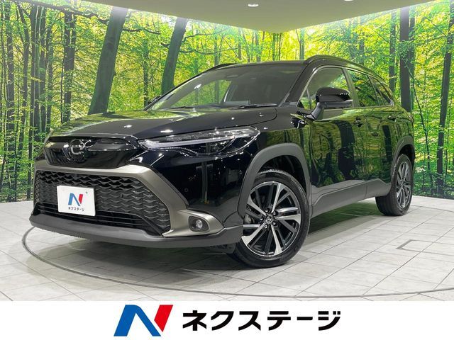 Photo of code 202536062181