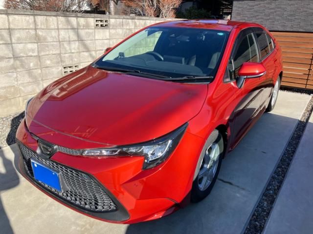 Photo of code 202600565522