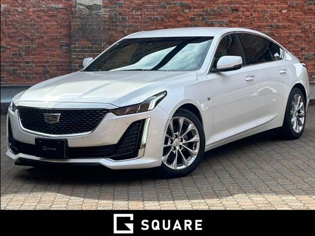 Photo of code 202600760719