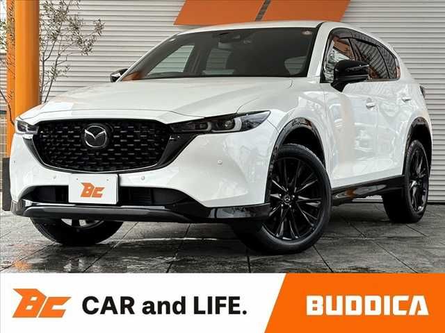 Photo of code 202600766255