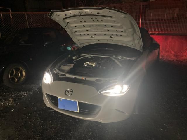 Photo of code 202600865575