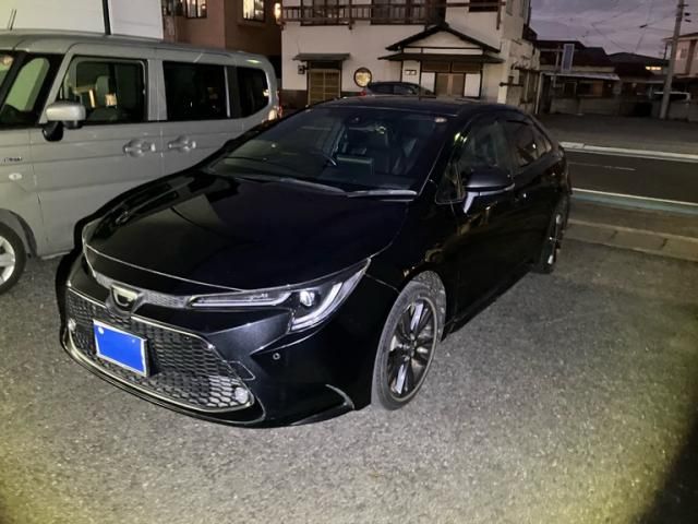 Photo of code 202600865638