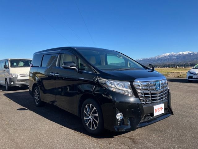 Photo of code 202601000012