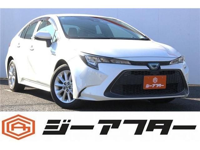 Photo of code 202601366217