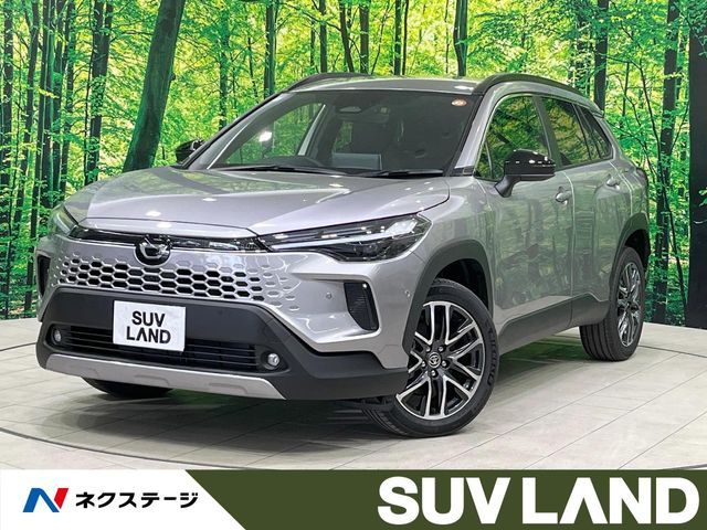 Photo of code 202601562274