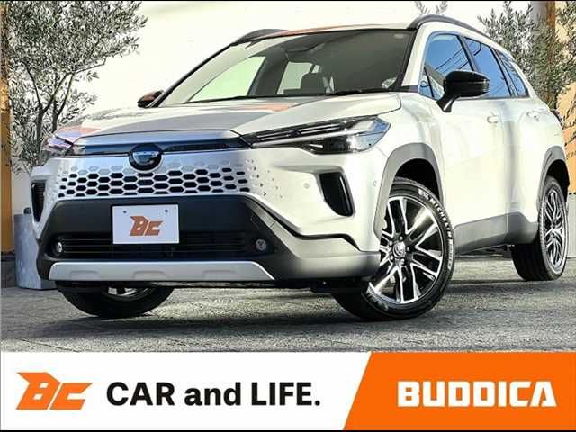 Photo of code 202601565647