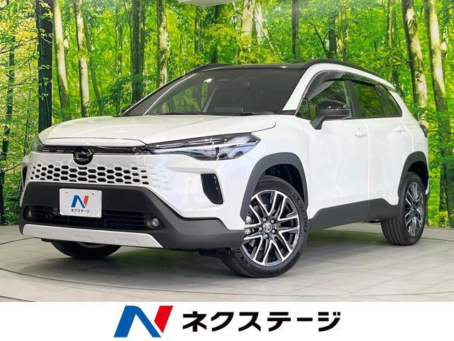 Photo of code 202601661595