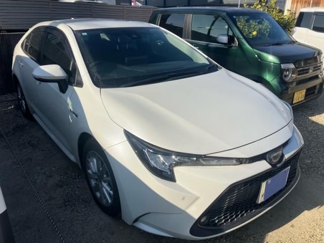 Photo of code 202601865777