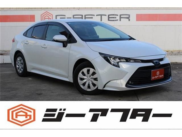 Photo of code 202601866580