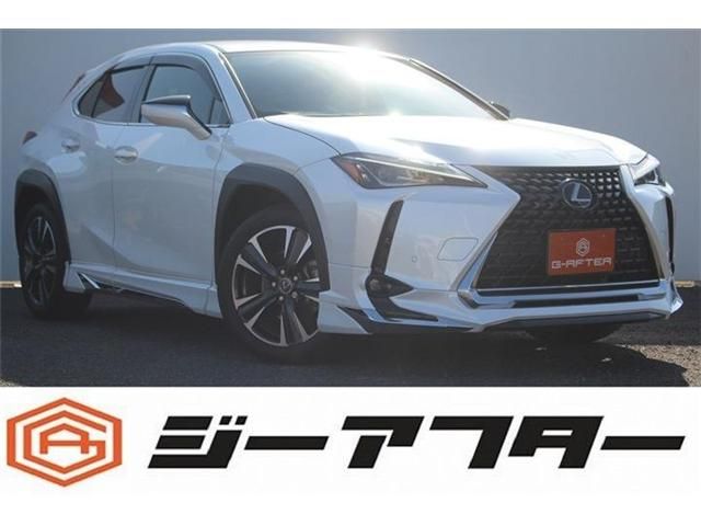 Photo of code 202601866592