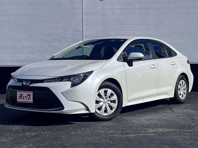 Photo of code 202602465269