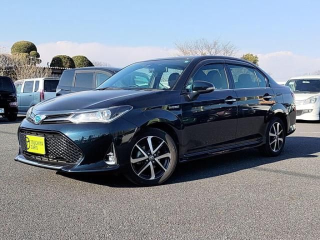 Photo of code 202602565045