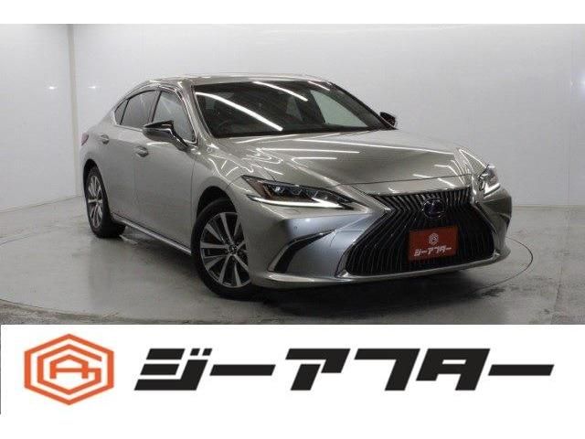 Photo of code 202602566367