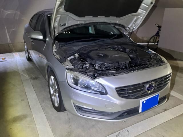 Photo of code 202602566464