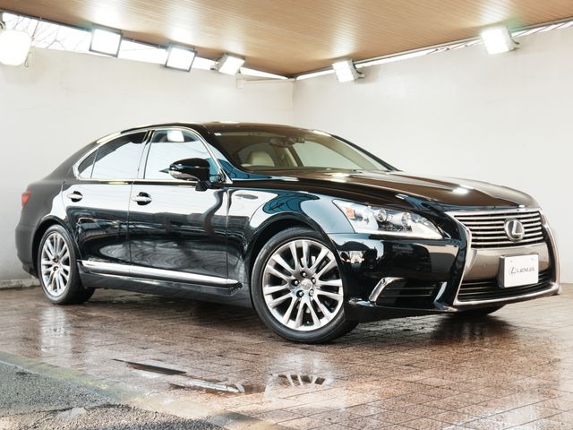 Photo of code 202602950195