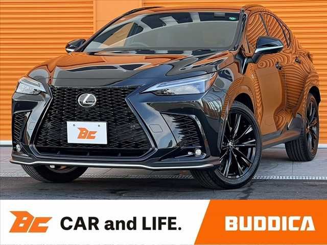 Photo of code 202603166118