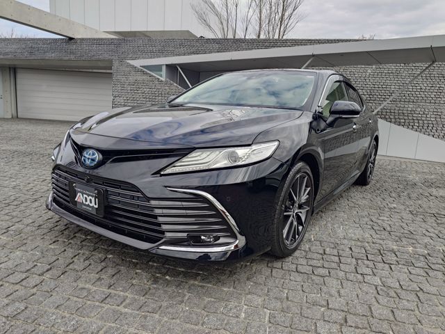 Photo of code 202603250381