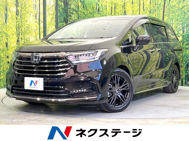 Photo of code 202603462368