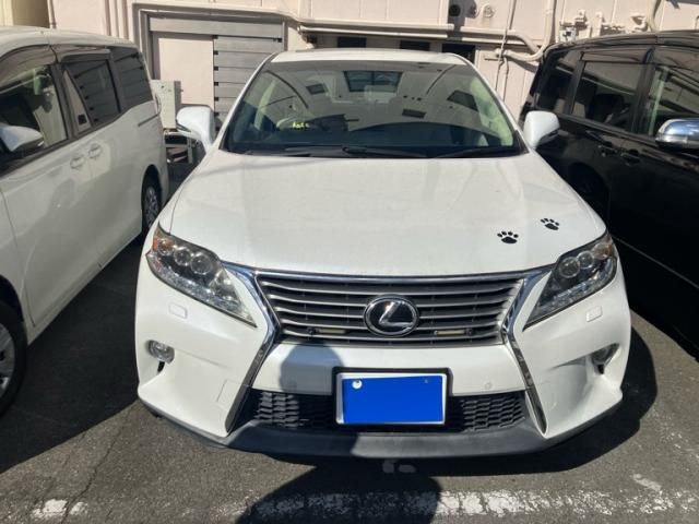 Photo of code 202603565900