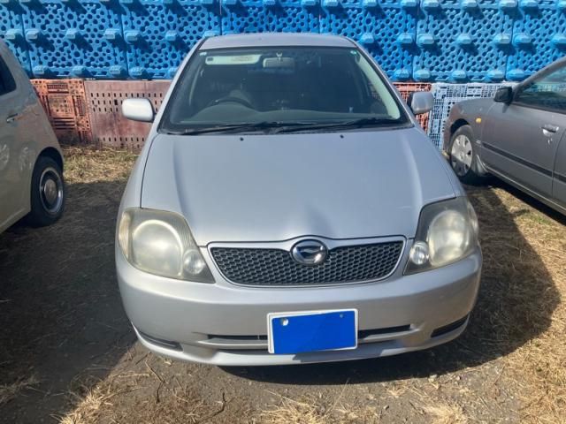 Photo of code 202603566754