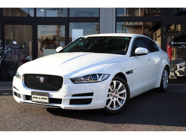 Photo of code 202603650065