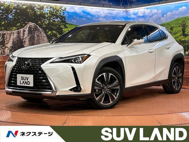 Photo of code 202603661278