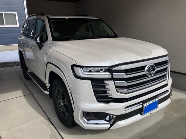 Photo of code 202603665654