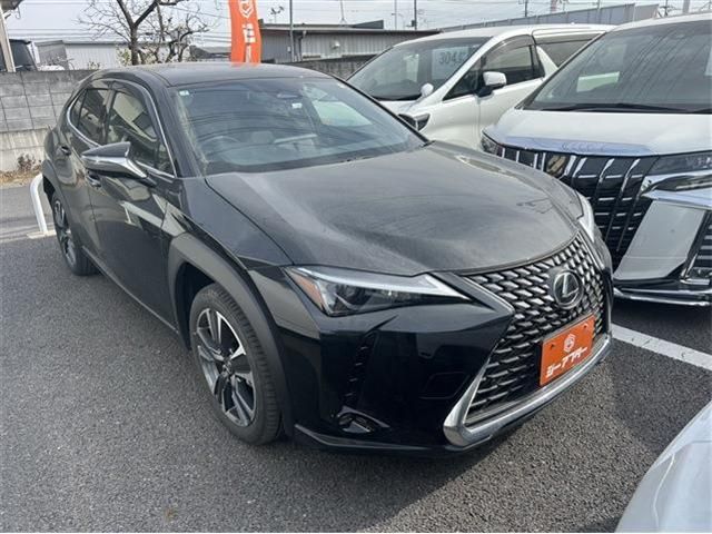 Photo of code 202603666015