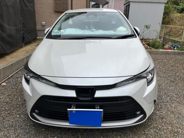 Photo of code 202603766816