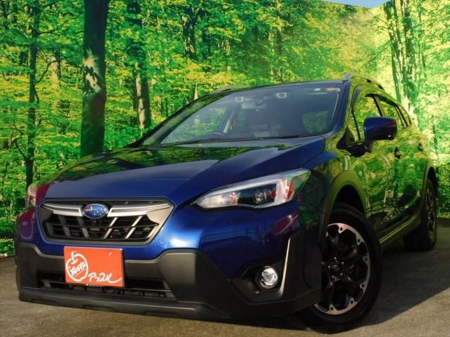 Photo of code 202603865965