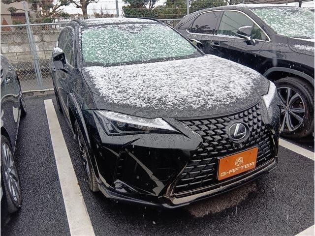 Photo of code 202603866300