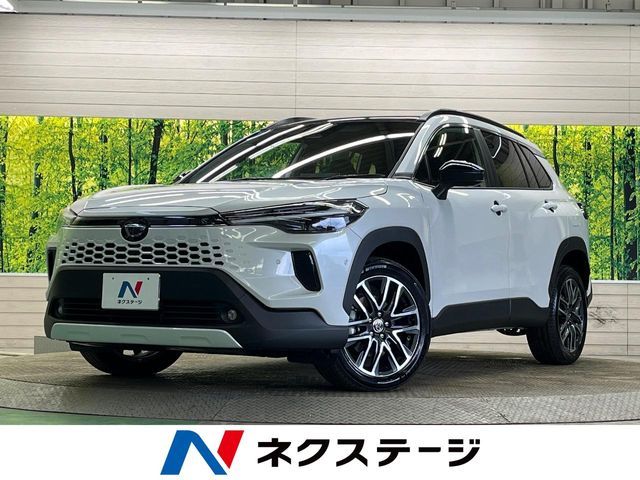 Photo of code 202603866432