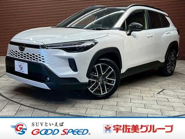 Photo of code 202604661631