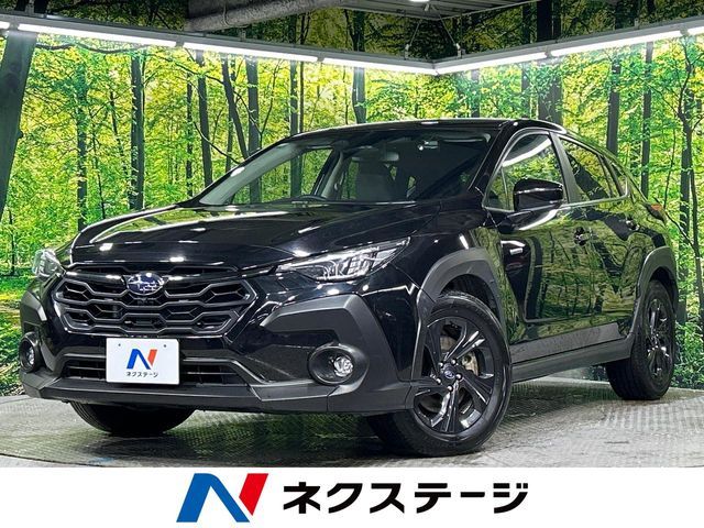 Photo of code 202604662748