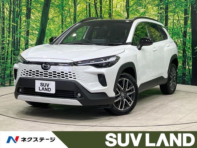 Photo of code 202605562765