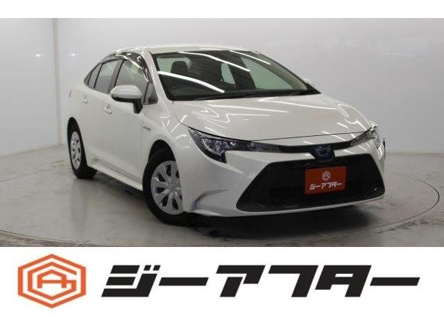 Photo of code 202605966608