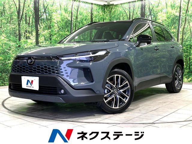 Photo of code 202606361664