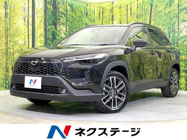 Photo of code 202606561118