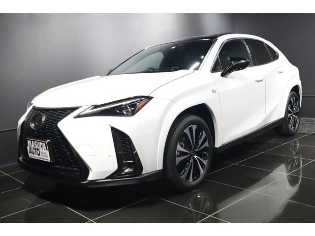 Photo of code 202606662333