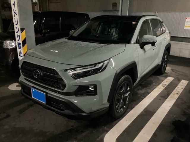 Photo of code 202606665980